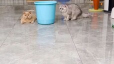 LAGI LAGI Si oyen 🥲🥲