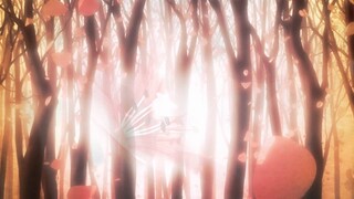 AMV PleXus