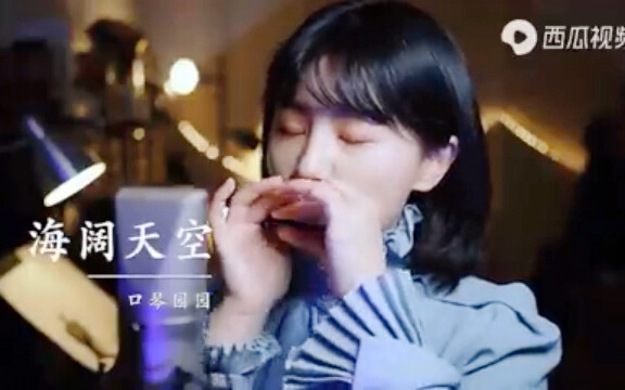 致敬经典《海阔天空》口琴独奏