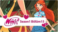 Winx Club - Sezon 1 Bölüm 15 - Sorular ve Cevaplar