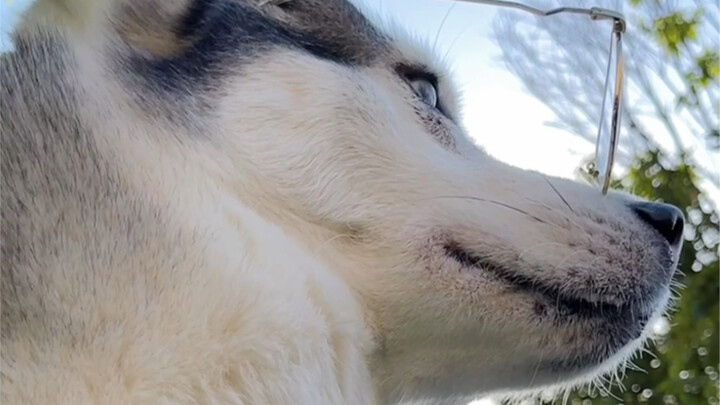 يشبهون الأب والابن أكثر من كونهم زوجين.