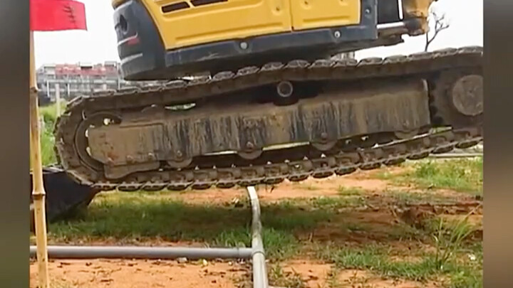 Thanks, master, you really have a wild imagination! It's better to have a clever mind than just brut