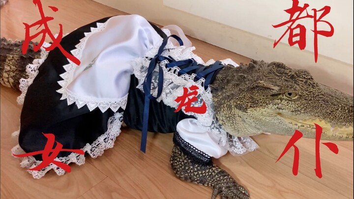 The Dragon Maid’s New Maid Outfit?