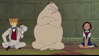 Gadis itu dengan baik hati menyelamatkan kucing itu, tetapi terpaksa menjadi pengantin kucing #猫的狠狠#