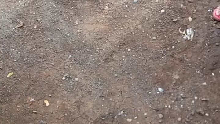 first spare