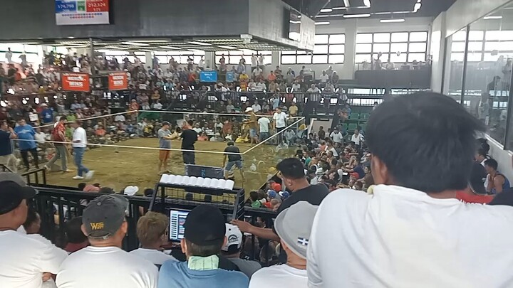 laspinas arena