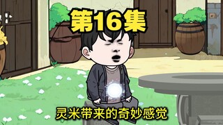 十六集 杂交水稻计划 首次收获灵米