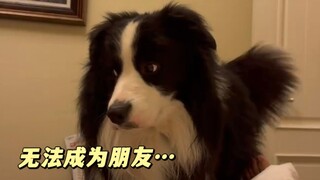 梳理了两年的相册，才发现是因为太想做朋友