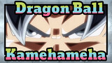 [Dragon Ball Kamehameha