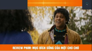 REVIEW PHIM : Mục đích sống của 1 chú chó (p6) #rvphimcuocsong