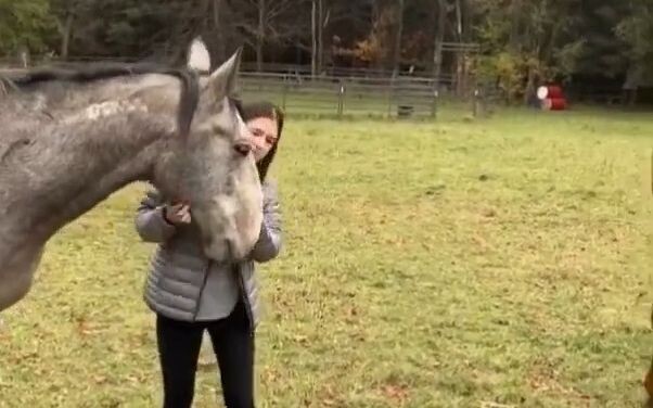 Void leads the horse and finally realizes that he has been deceived