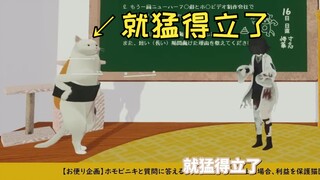 【熟肉】南桐片&男娘猫meme作者联动回4（有想过做「普通」的兼职吗、想重操旧业吗）