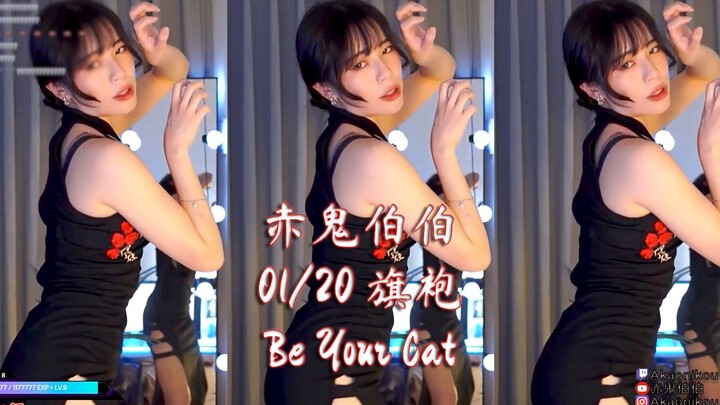 ลุงชิกุย 01/20 เป็นแมวของคุณชองซัม