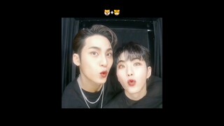 SoonGyu 🐯🐶Cute. #seventeen #hoshi #mingyu