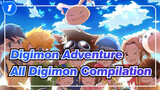 [Digimon Adventure]All Digimon Compilation (First season EP 40-47)_1