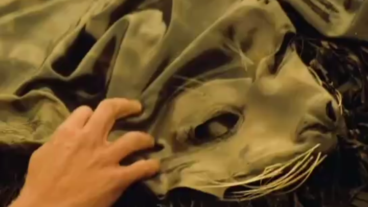 A fisherman discovers that when a seal sheds its skin, it turns into a stunning beauty.