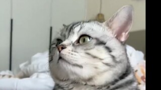 ก็ไม่รู้เหมือนกันว่ามันเข้าไปในรูที่แหวกแนวขนาดนี้ได้ยังไง