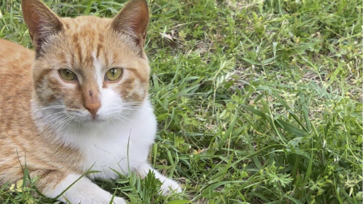 Nó đã dành cho tôi những điều tuyệt vời nhất, và tôi cũng đáp lại bằng một món quà lớn.