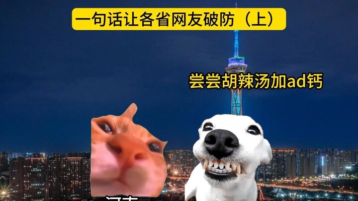 一句话让各省网友破防（上）