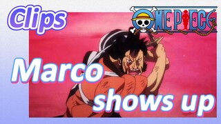 [ONE PIECE]   Clips |   Marco shows up