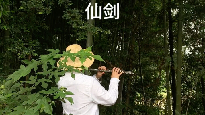 Let's try Chinese Paladin 3 first.