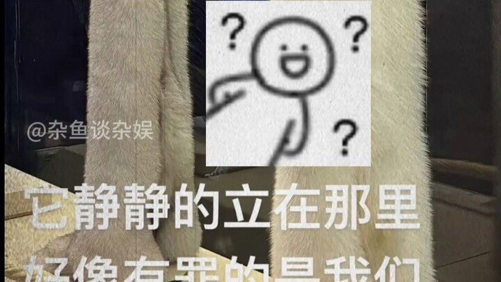 โชคลาภไม่เคยได้สัมผัส แต่ความรับผิดชอบกลับหนีไม่พ้น