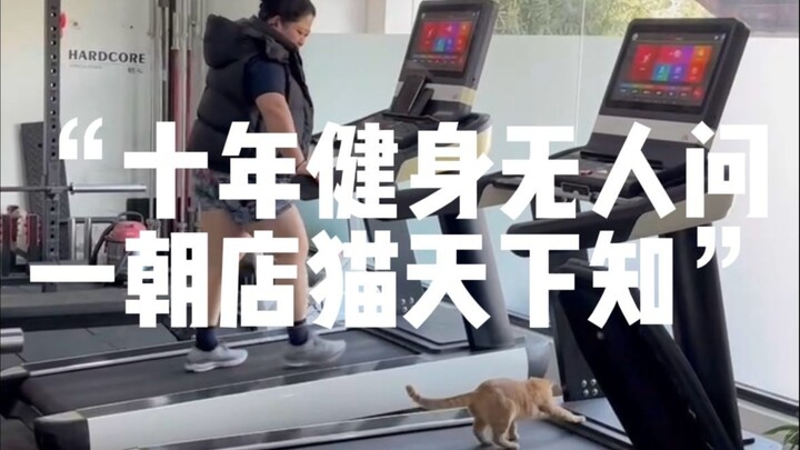 “Sepuluh tahun berolahraga tak seorang pun peduli, seketika jadi kucing toko yang terkenal di seluru