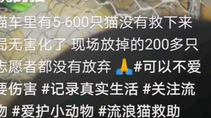 Hakimi's team was destroyed in Foshan