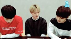 펜타곤의 애매미쇼!