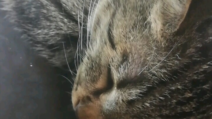 Your boot-up time has already outperformed 99% of users nationwide!