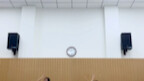 “树枝剪碎晨光”