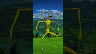 Siren Head Coffin Dance