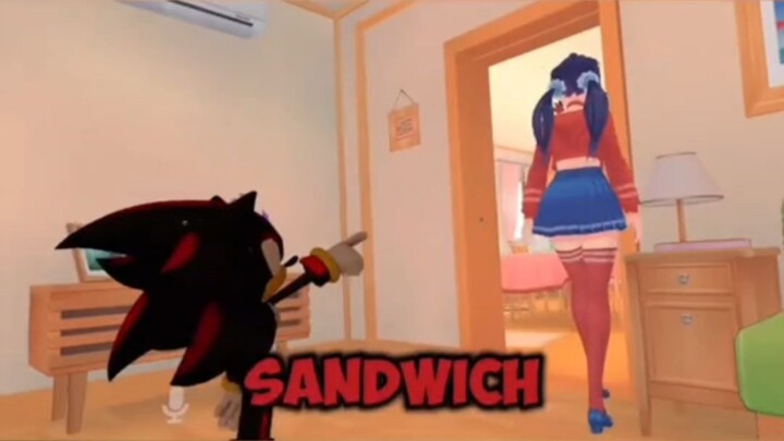 [เนื้อสุก] โซนิคและชาโดว์เพลย์มิตะ