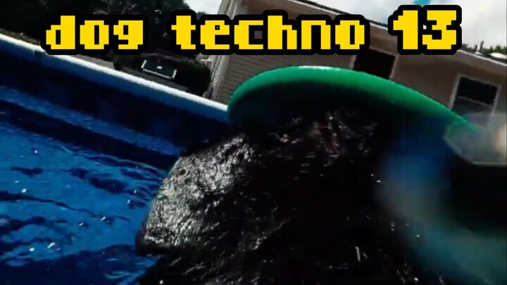 dog techno #13