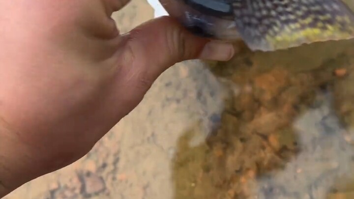 Only anglers truly understand the joy of fishing.