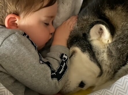 You’ve gotta watch till the end!