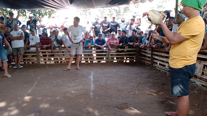 happy fiesta St. Santo Niño