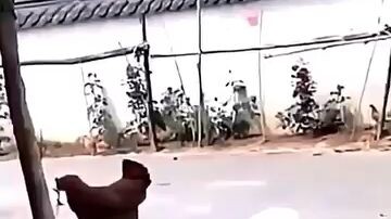 #เอาลูกฉันคืนมา