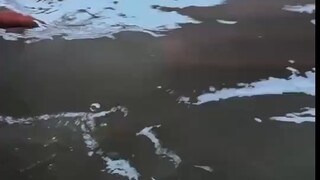 回头看，轻舟已过万重山；向前看，前路漫漫亦灿灿；抬头看，满天星光甚浪漫；低头看，满路荆棘已过半。新的一天！早安！