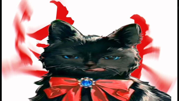 Mèo ơi, sao mà kiểm soát dữ vậy [Video Đại Phấn Arknights ¥3]