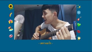 เพราะอะไร - ป้าง นครินทร์ | Cover by First Anuwat