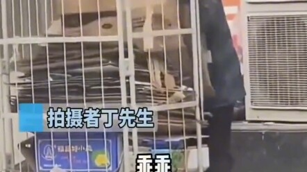 Ông lão trộm thùng carton trước cửa hàng, tẩu thoát nhanh thoăn thoắt sau khi lấy được đồ; Người qua