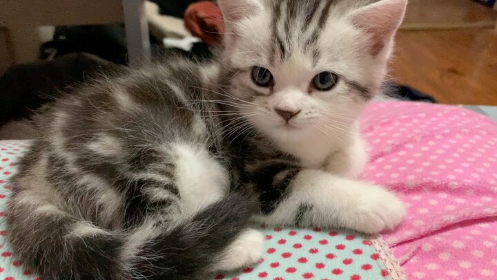 You’re sleeping on my pillow—where am I supposed to sleep?