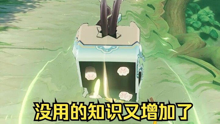 ความพิเศษเล็กๆ ของหางของคิเรียวคิเรียว [เก็นชินอิมแพกต์]