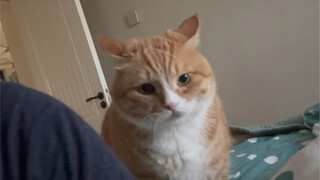 好后悔没好好抱抱你啊，离开家一个多月了，好想你