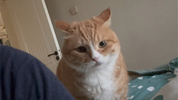 Anh thực sự hối hận vì đã không ôm em đúng cách, đã hơn một tháng kể từ khi anh rời nhà, anh nhớ em 