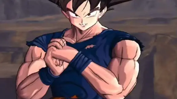 ty Goku