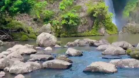 penghuni air terjun