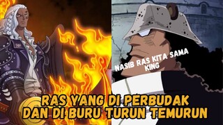 2 Ras Terkuat Di Dunia One Piece Yang Berusaha Di Singkirkan Pemerintah Dunia !!!