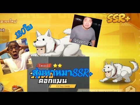 สุ่มหาหมาSSR+ด้วย180ใบที่ผมมี!!! | One punch Man The strongest